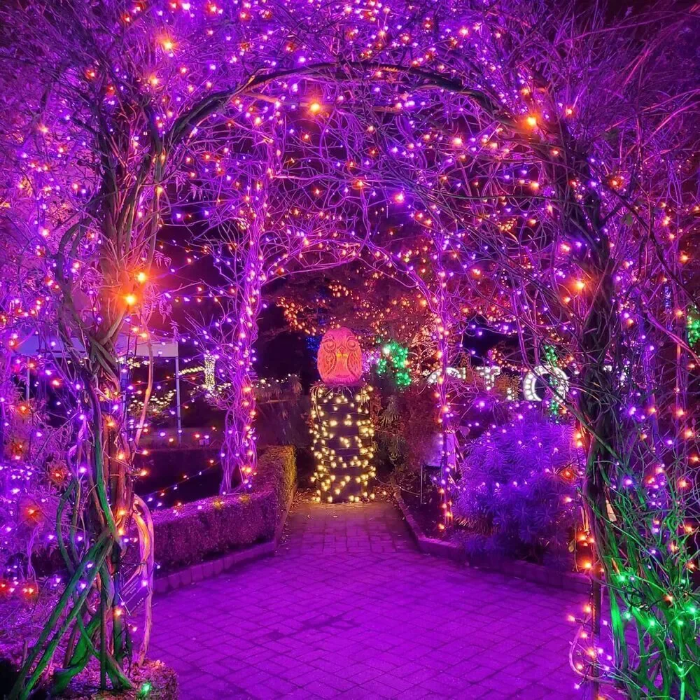 Halloween String Lights 164FT 500 LED Purple Orange 8 Modes Indoor Outdoor Decor